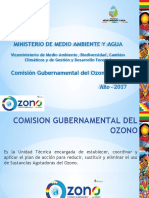 b102 - PRESENTACION COMSION GUBERNAMENTAL CNDA 2