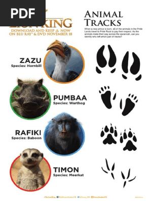 LION KING ACTIVITY PACK