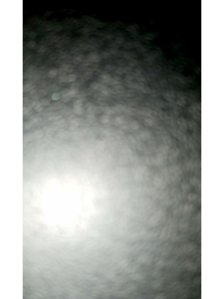 Coola | PDF