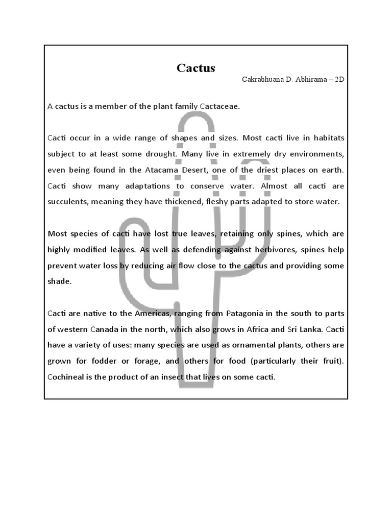 Cacti: Adaptations and Uses | PDF