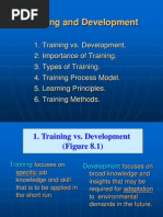 Training & Development