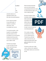 La Importancia Del Agua