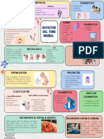 Defectos Del Tubo Neural