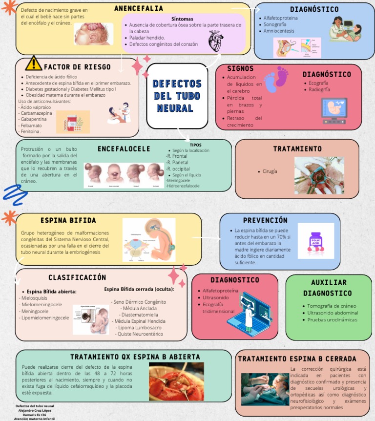 Defectos del Tubo Neural y Tratamientos | PDF | Especialidades Medicas ...