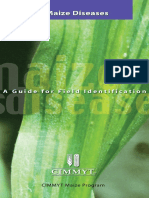 Maize Diseases PDF