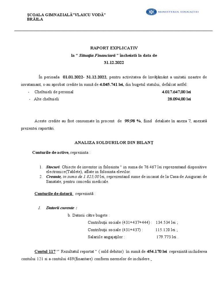 Raport Explicativ Bilant-Model | PDF