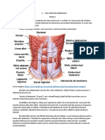 Abdomen - Partea I