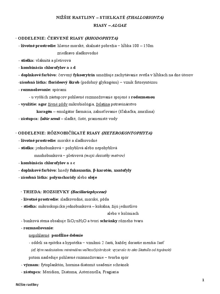1b Riasy IV | PDF