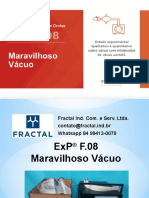 ExP F08 Maravilhoso Vacuo-Final