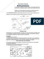 Ficha Cyt 23-05