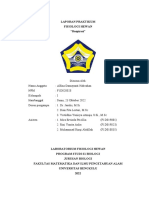 Alfina Damyanti Habeahan - Laju Respirasi