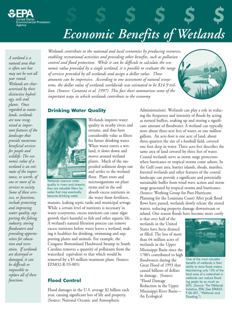economic_benefits_of_wetlands PDF Wetland Flood