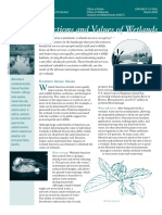 Functions Values of Wetlands