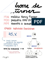 Resumo de Turner