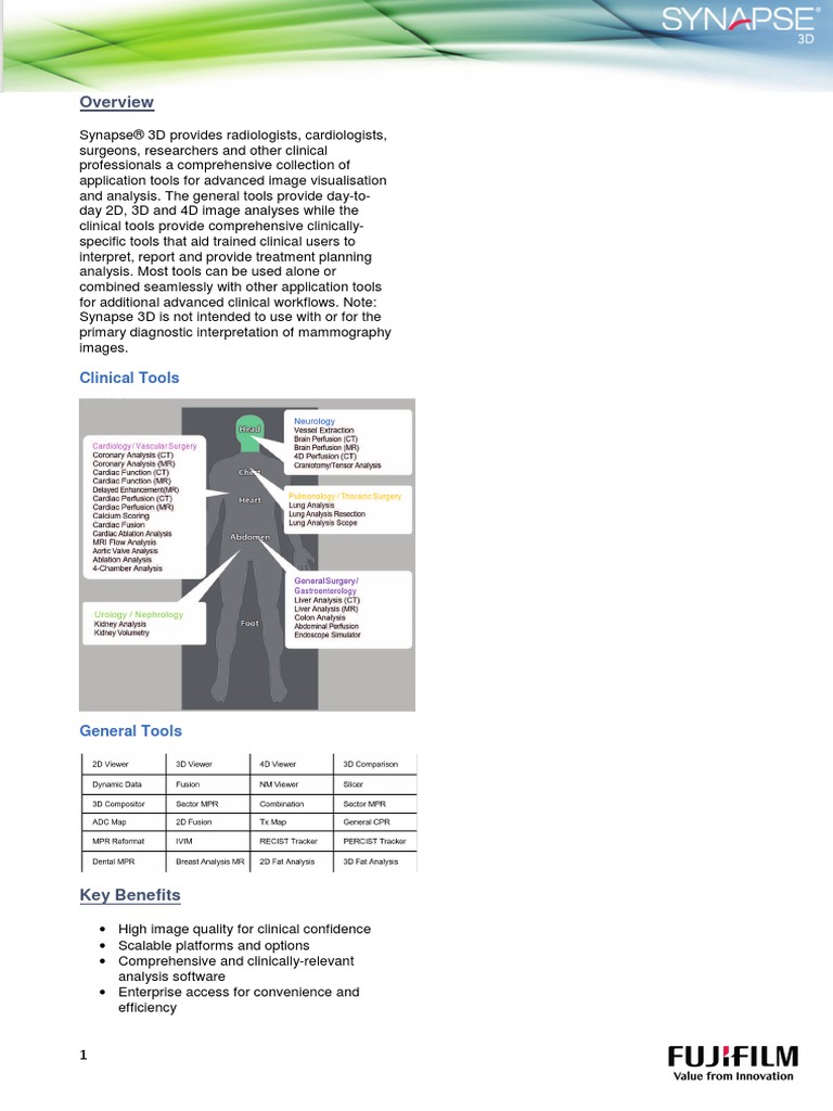 SYNASPE 3D Application - Eu | PDF | Heart | Ventricle (Heart)