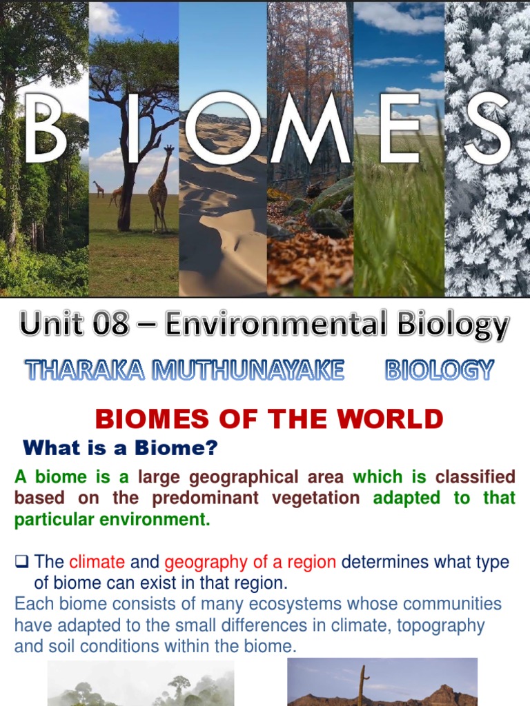 Eight Major Terrestrial Biomes | PDF | Technology & Engineering