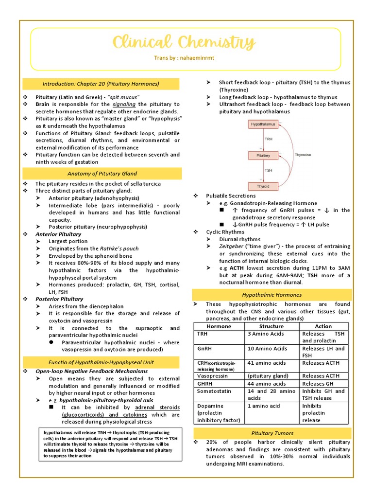Overview of Pituitary Gland Functions | PDF | Growth Hormone | Hypothalamus