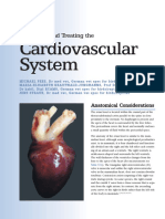 12 Cardiology