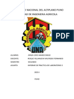 Universidad Nacional Del Altiplano Puno