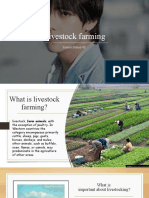 Maahal Fahad 4s Livestock Farming