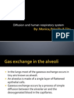 Diffusion and Human Respiratory System