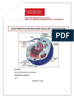 Guía Práctica #07 Biología Celular y Molecular