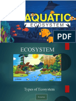 Aquatic Ecosystem Gs1