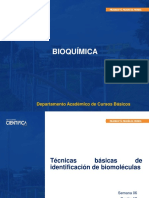 BIOQUÍMICA - LABORATORIO - SEM-06 - SESIÓN-18 - Técnicas Básicas de Identificación de Biomoléculas - 2023 - 1