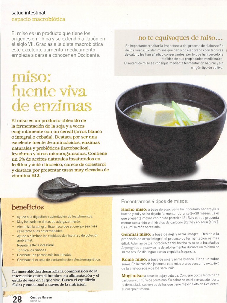 El Miso | PDF