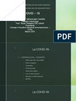 02 La COVID 19 Cap Mesa Intersectorial