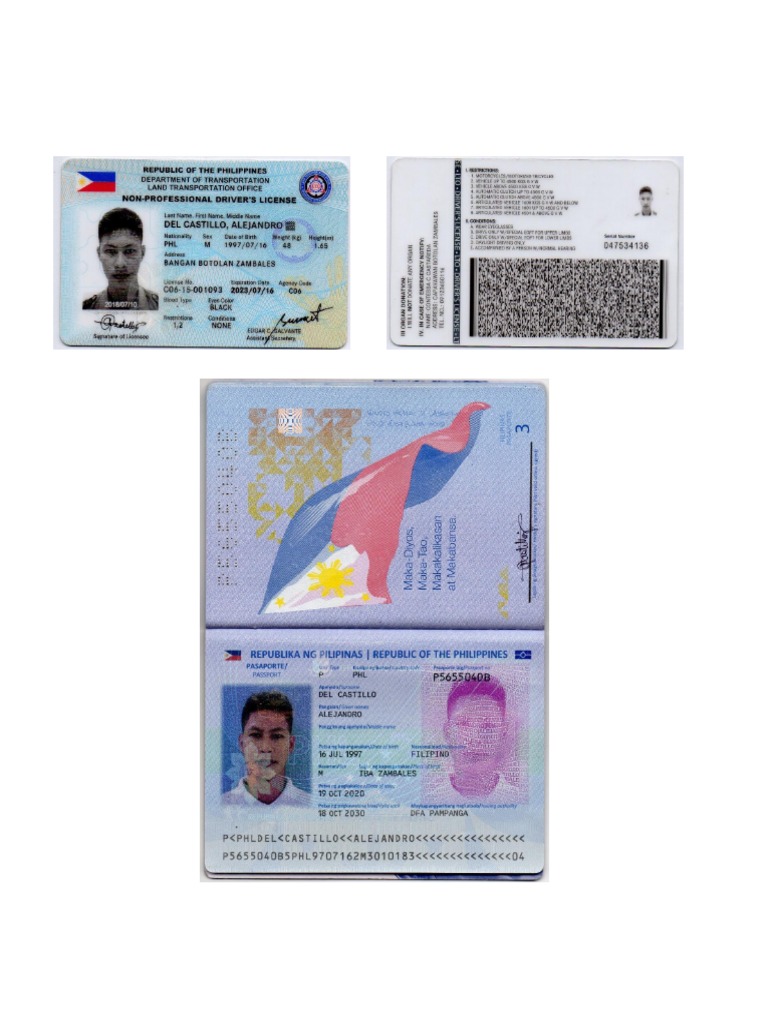 License and Passport | PDF