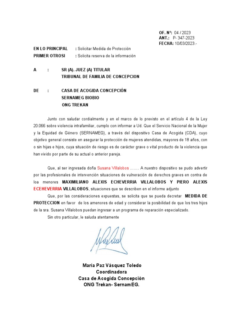 Solicitud medida de proteccion hrnos echeverria villalobos pdf