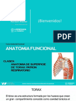 Anatomia Funcional Torax