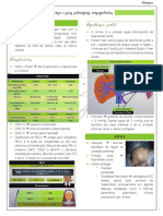 Cirrose e Suas Principais Consequências