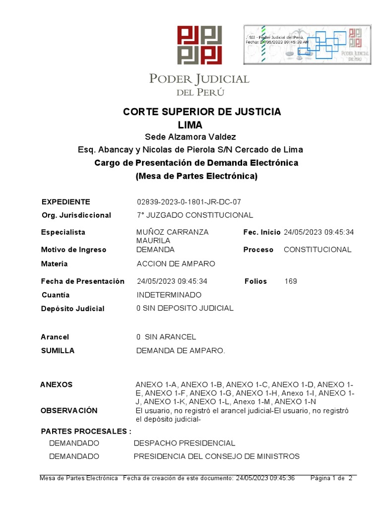 María Jara - Demanda de Amparo | PDF | Caso de ley | Demanda judicial