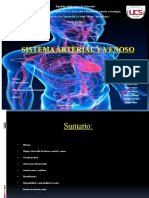 MFH 04 - Tema 02, Parte 01 - Circulación Sanguínea y Linfática, Sistema Arterial y Venoso