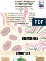Exposición Eubacterias - Biotecnología