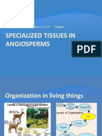 Specialized Tissues in Angiosperms Notes