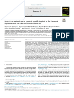 PnAn13, An Antinociceptive Synthetic Peptide Inspired in the Phoneutria Nigriventer Toxin PnTx4 (6-1) (Δ-Ctenitoxin-Pn1a)