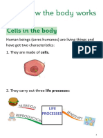Unit 3. How The Body Works