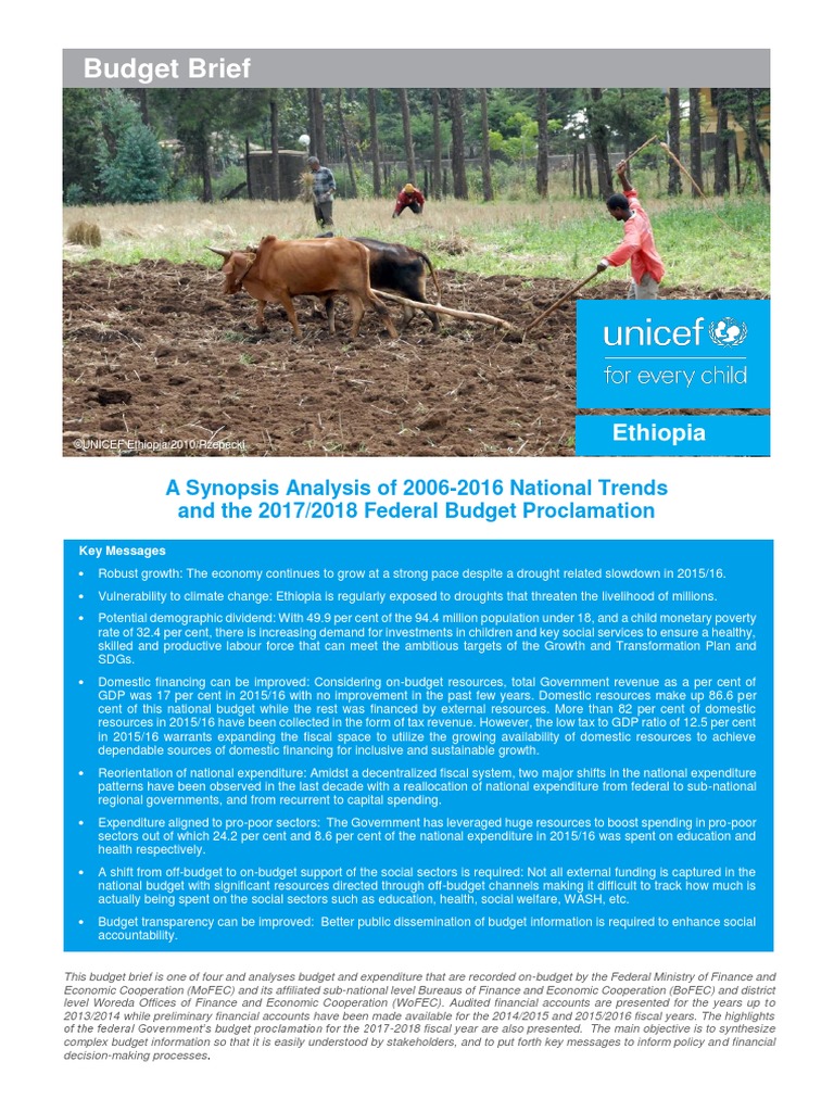 UNICEF Ethiopia 2017 National Budget Brief PDF Taxes Economic Growth