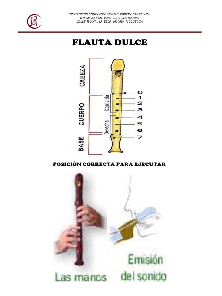 Nomenclatura y Posición de la Flauta Dulce | PDF