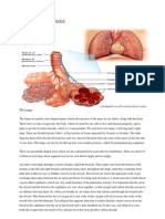 Anatomy and Physiology of the Lungs