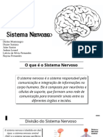 Apresentação Enfermagem Sistema Nervoso (3) (2) .Odg2
