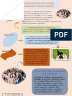 Infografia Relacionado Al covid-19-SEMANA 02