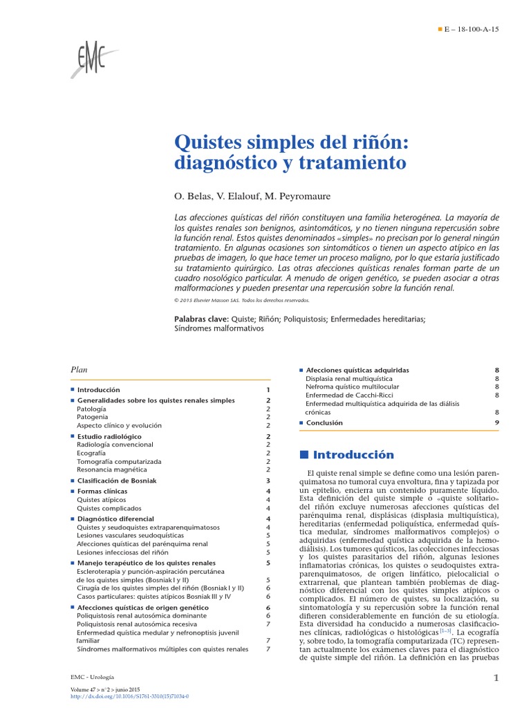 Quistes renales simples: diagnóstico y tratamiento | PDF | Cáncer | Riñón