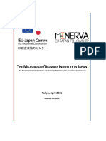 Microalgaebiomassiindustryinjapan Herrador Min16 1