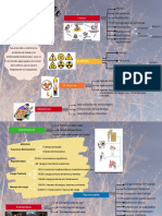 Mapa Mental Factores de Riesgo