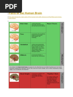 Parts of The Brain