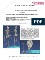 Guia Nâ° 0 - Anatomia, Morfologia, Morsofisiologia Del Cuerpo Humano